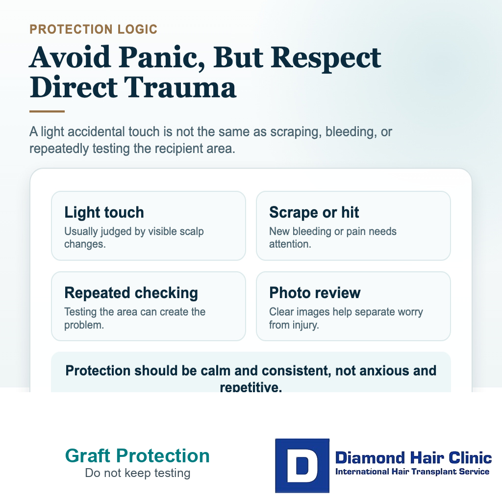 When Are Hair Transplant Grafts Secure? visual explaining how should i protect grafts without panicking?