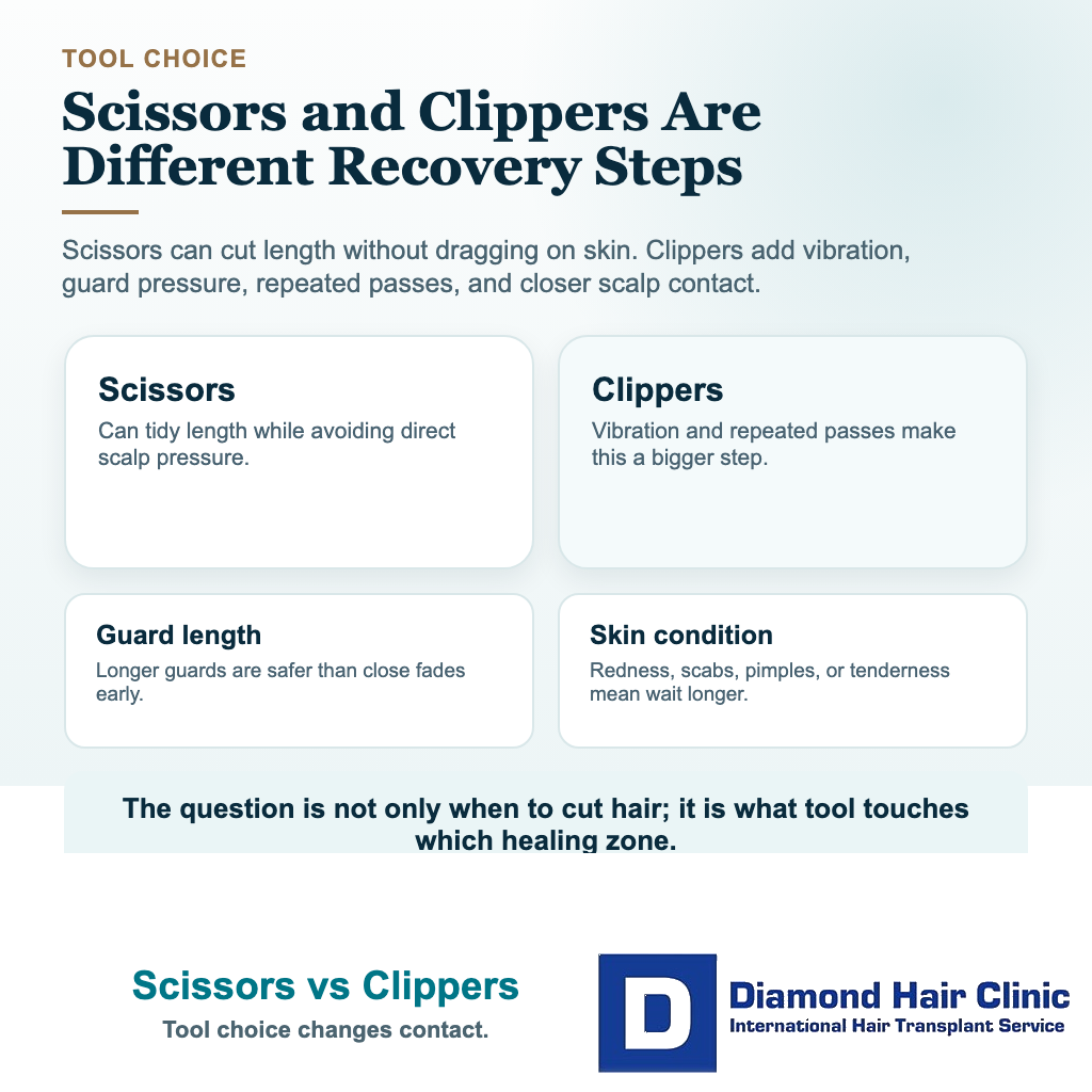Hair transplant haircut visual comparing scissors and clippers after surgery
