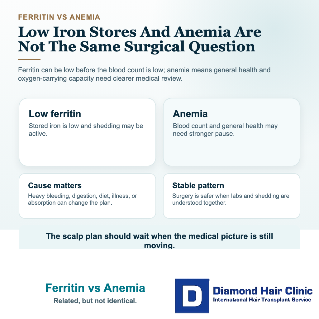 Visual explaining the difference between low ferritin iron stores and anemia before hair transplant planning