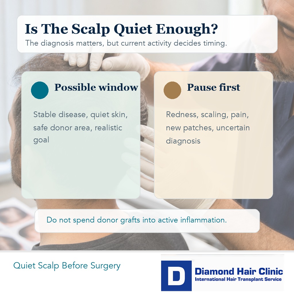 Medical editorial visual explaining the difference between active lupus scalp inflammation and a quiet surgical window