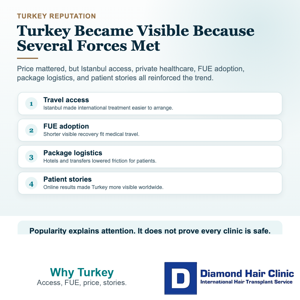 Why Did Turkey Become Known for Hair Transplants? visual explaining why turkey became visible