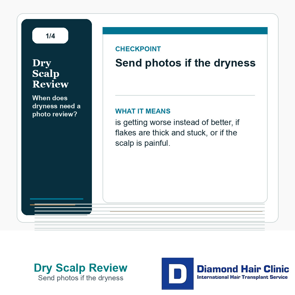 Dry Scalp Review carousel slide about send photos if the dryness