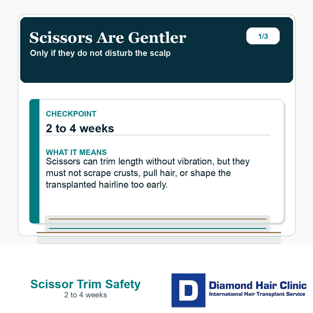 Haircut after hair transplant slide explaining why scissors must be used gently