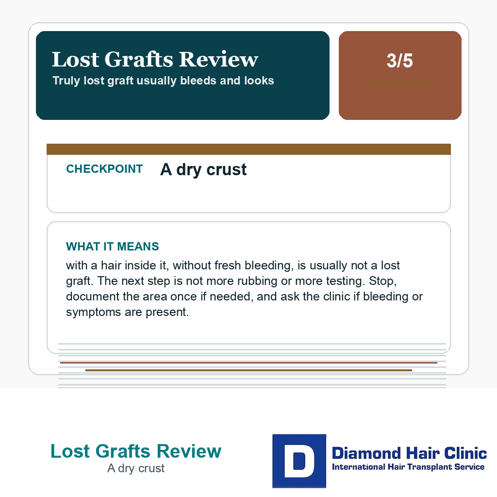 Lost Grafts Review carousel slide about a dry crust