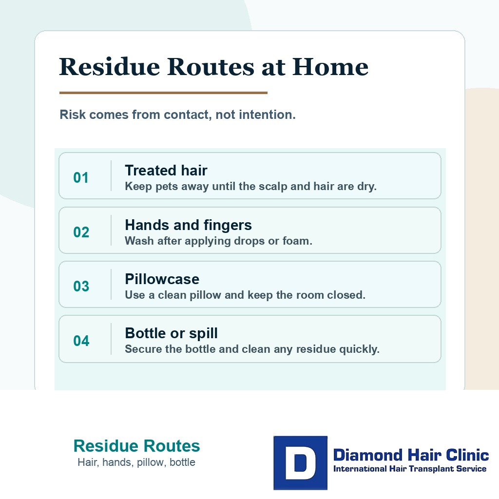 Diamond Hair Clinic visual showing topical minoxidil residue routes that can expose cats or dogs
