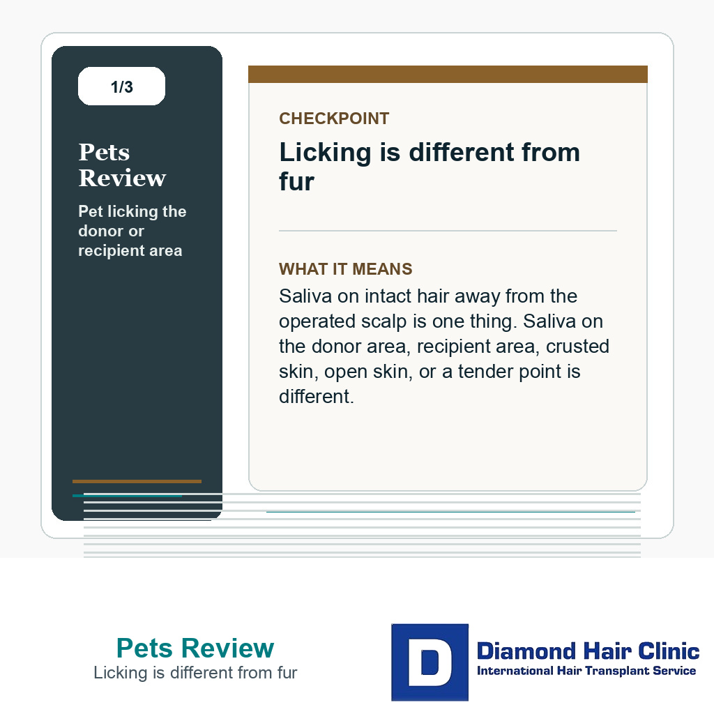 Pets Review carousel slide about licking is different from fur