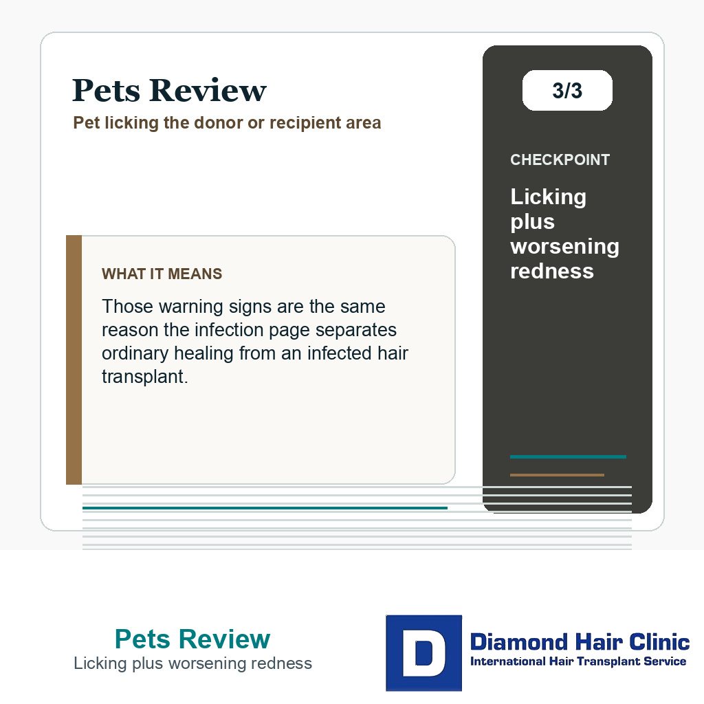 Pets Review carousel slide about licking plus worsening redness