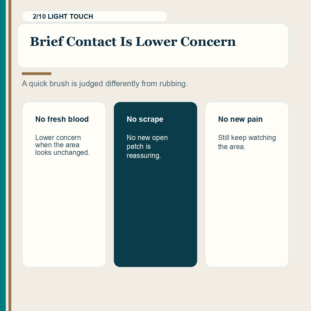 Slept on grafts slide 2 explaining brief contact is lower concern after hair transplant
