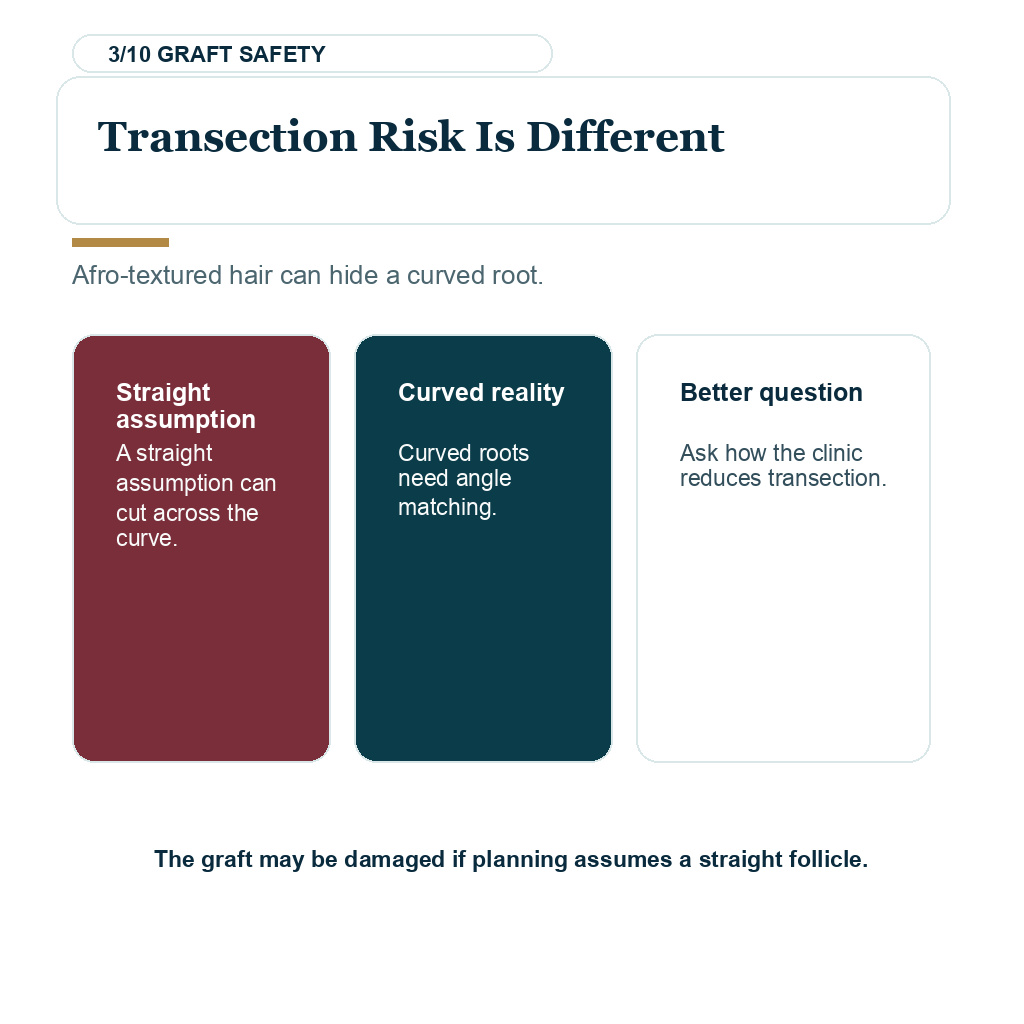 Carousel slide explaining transection risk is different in Afro and very curly hair transplant planning.