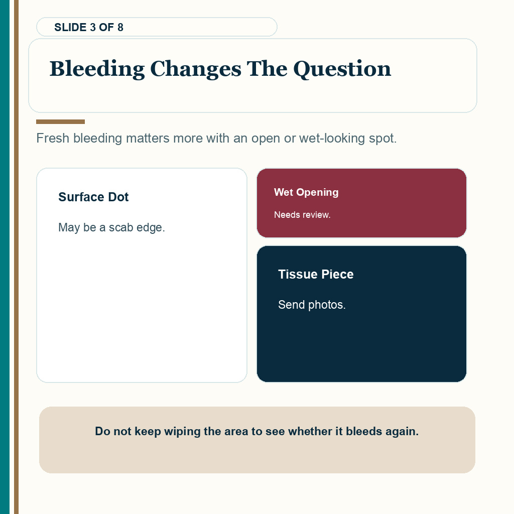 Bleeding changes the question when a patient bumps the head after a hair transplant.