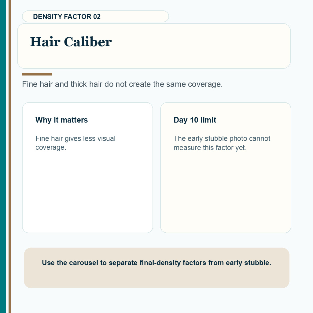 Hair caliber changes final hair transplant fullness