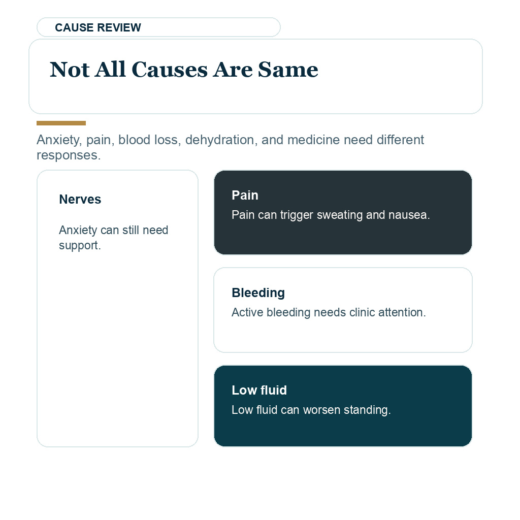 Dizziness and fainting safety visual separating nerves, pain, bleeding, and low fluid causes