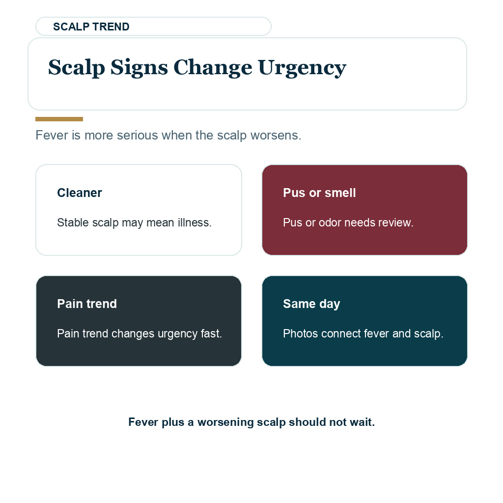 Fever after hair transplant visual about scalp signs changing urgency