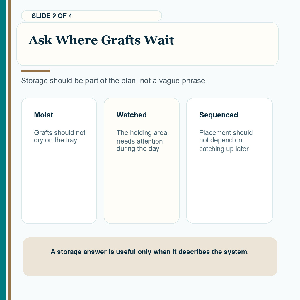 Ask where FUE grafts wait during a long session