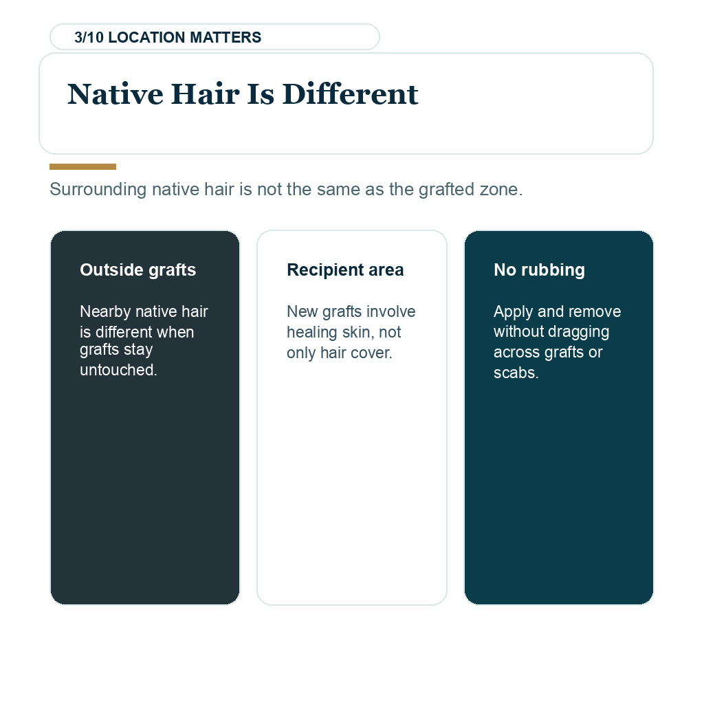 Hair fibers after hair transplant timing slide 3 about native hair is different.