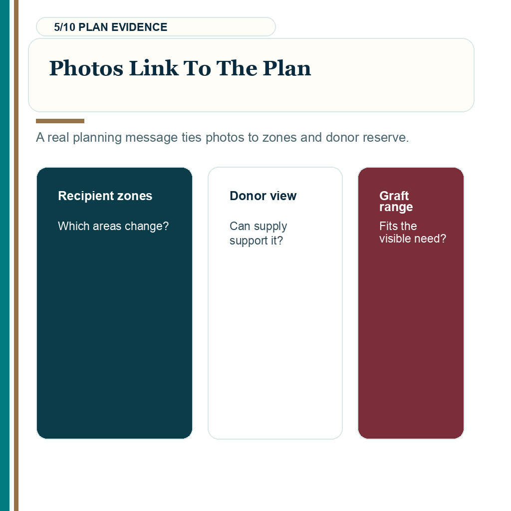 Hair transplant booking messages, photos link to the plan.