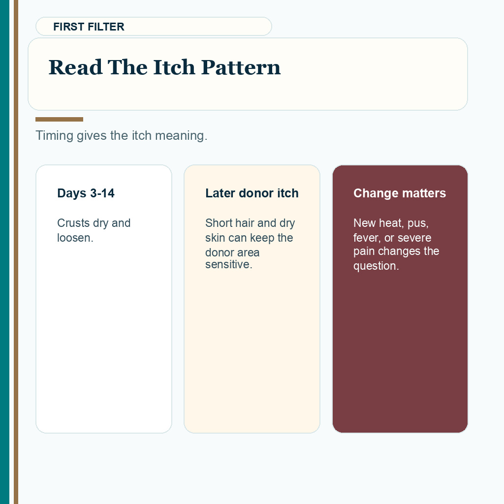 Itching after hair transplant slide 1 explaining read the itch pattern