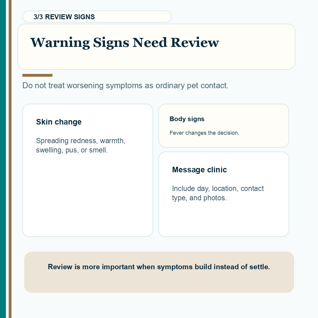 Pets contact carousel slide 3 showing pet-contact warning signs such as worsening redness, warmth, pain, pus, or fever after FUE.