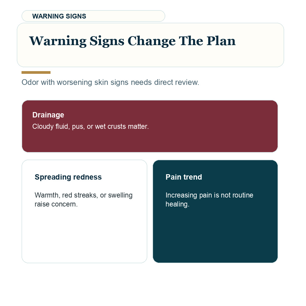 Scalp odor FUE recovery support visual about warning signs change the plan