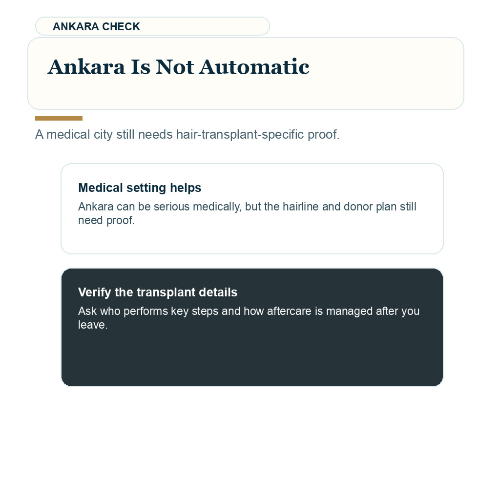 Top Turkish hair transplant cities support visual about Ankara is not automatic