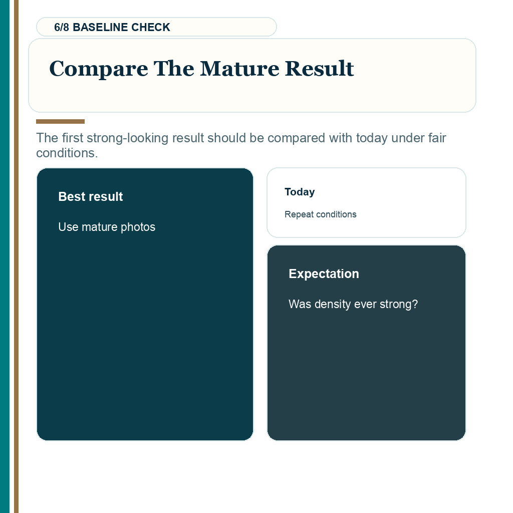Diagnosis, comparing the mature result with current photos under fair conditions.