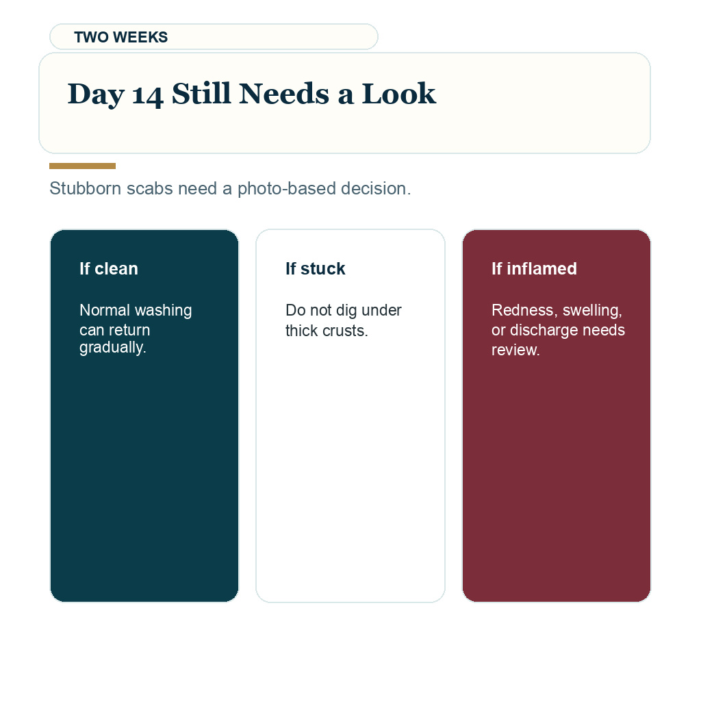 Day 14 scalp review guidance after hair transplant washing
