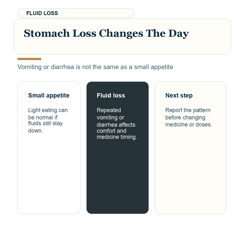 Water and electrolytes after FUE support visual about stomach loss changes the day