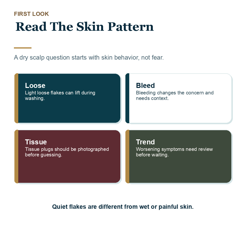 Dry scalp after hair transplant carousel image about read The Skin Pattern