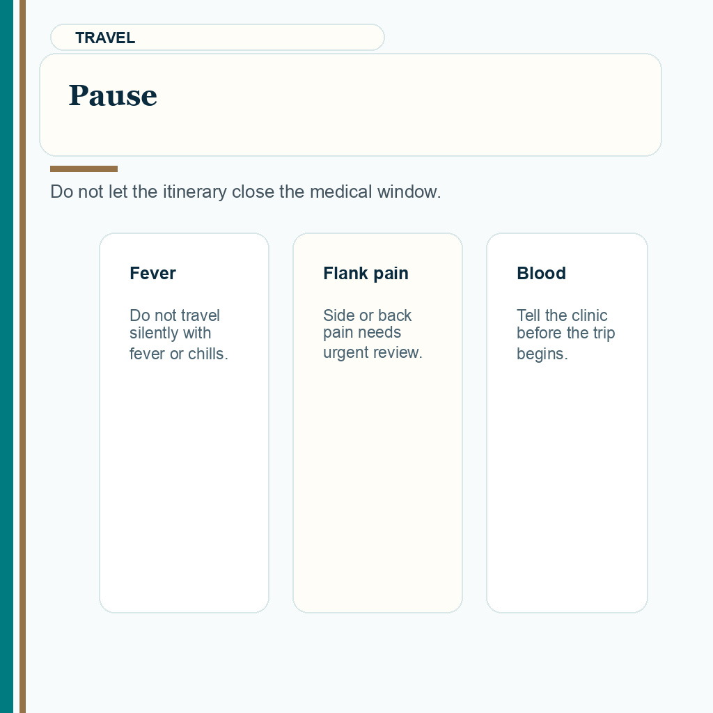 Carousel slide advising patients to pause travel when fever, flank pain, or blood in urine appears before FUE